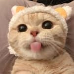 Roxana Ruelas avatar